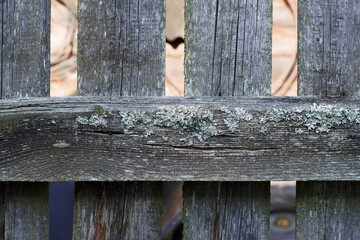 close up of a weathered grey wooden fence with lichen