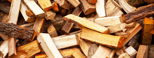 Stock of firewood for heating the house.