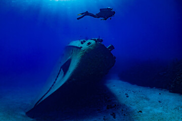 A shot of the bow section of the sunken shipwreck Kittiwake in the tropical waters of the Cayman...