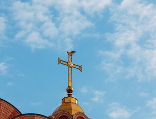 Orthodox church cross against the blue sky. A swallow sits on a cross. Easter concept