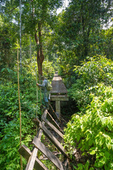 Dangerous crossing on a broken wooden bridge in amazon forest, Puerto Nariño, Leticia, Colombia