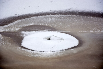 Background from broken pieces of ice. Texture, pattern, closeup