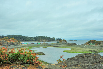 Old sea worthy cabins along the shoreline of Three Lagoon Islands Park, Nanaimo, British Columbia,...