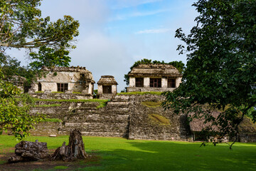 Fototapeta na wymiar Mayan ruins in Palanque, Mexico