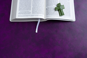Open bible on a dark purple background with palm cross and copy space