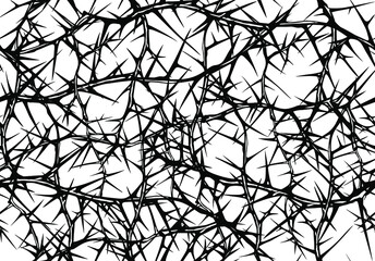 Fototapeta Hand drawn vector seamless black and white pattern of messy impenetrable tangled briar patch with thorns. obraz