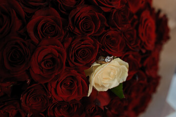 Bouquet of red roses, women's gold ring with a stone. Bouquet of red flowers. An offer of marriage