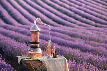 Distillation of lavender essential oil and hydrolate. Copper alambic for the flowering field.