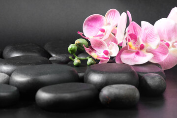 Naklejka na ściany i meble Spa stones and flowers on black background .