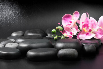 Fototapeta na wymiar Spa stones and flowers on black background .