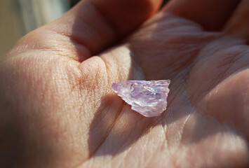 Raw kunzite crystal in human hand. Woman holds pink (purple) spodumene mineral for lithotherapy, heart and crown chakras.