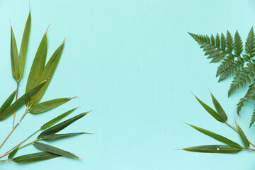 Top view tropical leaves on vibrant background. Summer flat lay composition.