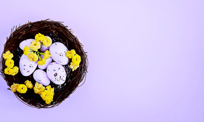 Easter card. Easter eggs on the background of a nest on a lilac