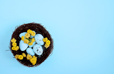 Easter eggs in nest , turquoise Easter background