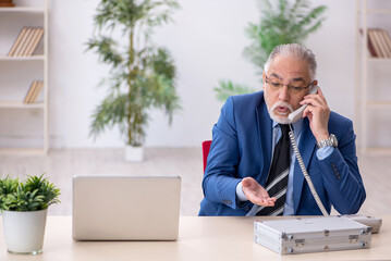 Aged businessman employee working at workplace