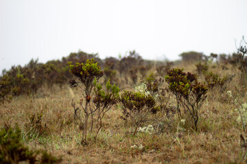 Paramo frio