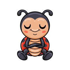 Cute little ladybug cartoon sitting