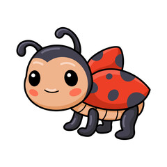 Cute little ladybug cartoon posing