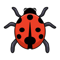 Fototapeta na wymiar Cute little ladybug cartoon posing