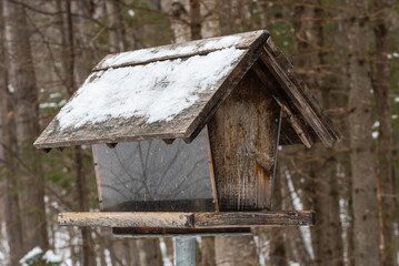 Fototapeta na wymiar Bird table in winter in the Cap-Tourmente National Wildlife Area situated on the Beaupre cost at Saint-Joachim (Quebec, Canada)