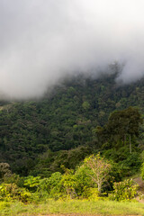 View over the treetops with cloudy skies in the rainforest of Costa Rica