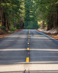 Obraz premium windy rural forest country road 