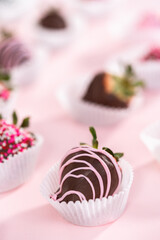 Chocolate dipped strawberries