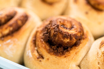 Cinnamon rolls