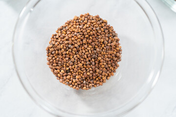 Growing sprouts in a jar