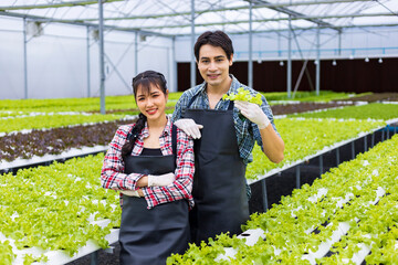 Asian local farmers growing their own green oak salad lettuce in the greenhouse using hydroponics...