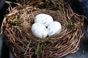 Naklejka na ściany i meble eggs in a nest