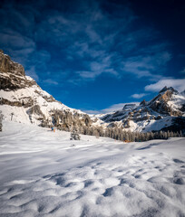 Panoramic view of snowy swiss landscape, with mountains and trees in the background