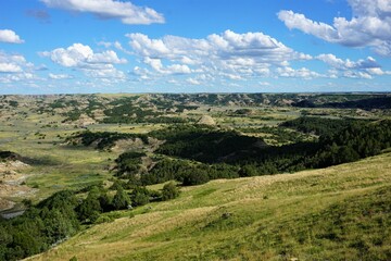 Obraz premium More of Theodore Roosevelt National Park 