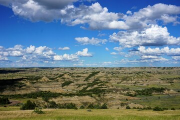 Fototapeta premium Theodore Roosevelt National Park 