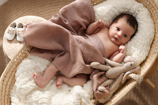 Cute newborn baby with toy bunny lying in cradle at home, top view