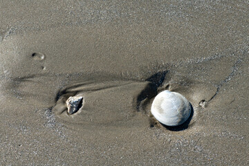 Traces of bugs on the sand with the seawater gone