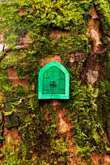 Wooden Fairy Door in a Tree Trunk