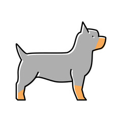 yorkshire terrier dog color icon vector illustration
