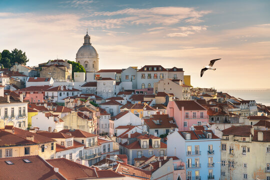 View of the typical Alfama neighborhood in Lisbon, Portugal - seagull flying in the sky.