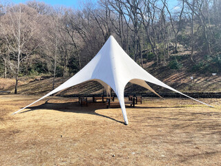 スターシェイド