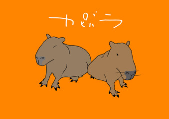 カピバラ