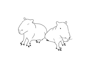カピバラ