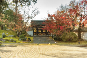 秋の京都、醍醐寺の三宝院から見た唐門と紅葉の景色です