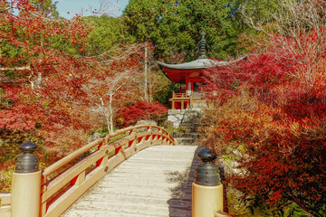京都、醍醐寺の弁天堂と紅葉の景観です