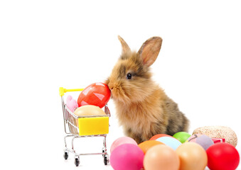a rabbit with colorful eggs and shopping cart isolated on white background, concept easter...