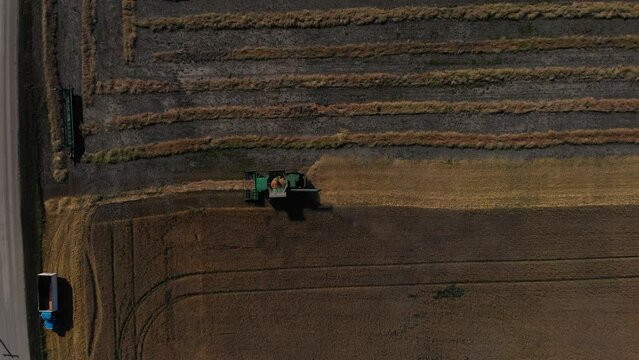 Harvester Mows Rapeseed Aerial Video. Tractor Harvesting Lentil Field On The Saskatchewan Prairie Aerial View.