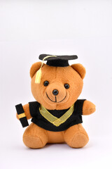 Isolate teddy bear doll with graduation hat on white background