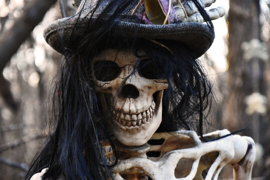 A close up image of a Halloween skeleton decorated as a pirate for an outdoor display. 