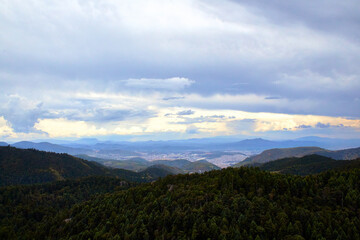 bosque de coniferas y montañas con una ciudad en el fondo y un cielo nublado 