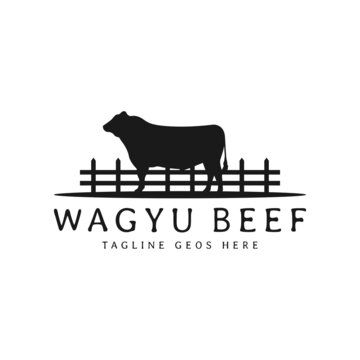 angus cattle farm illustration logo design